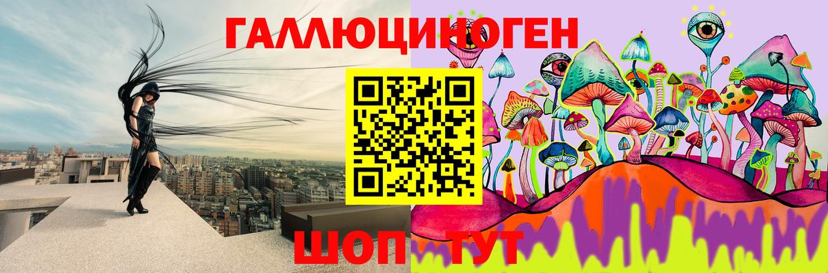 Псилоцибиновые грибы Psilocybine cubensis Гудермес