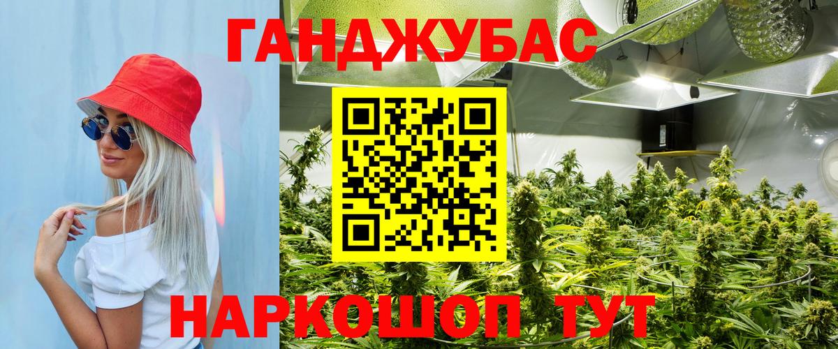 Конопля OG Kush Гудермес